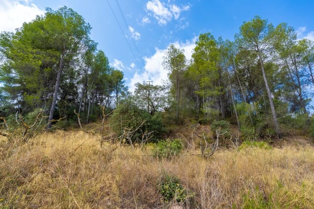 Finca/Landehus til salg i Ginestar - € 41.000 (Ref: 8471804)