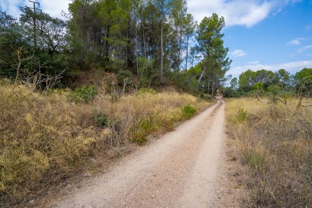 Finca/Landehus til salg i Ginestar - € 41.000 (Ref: 8471804)