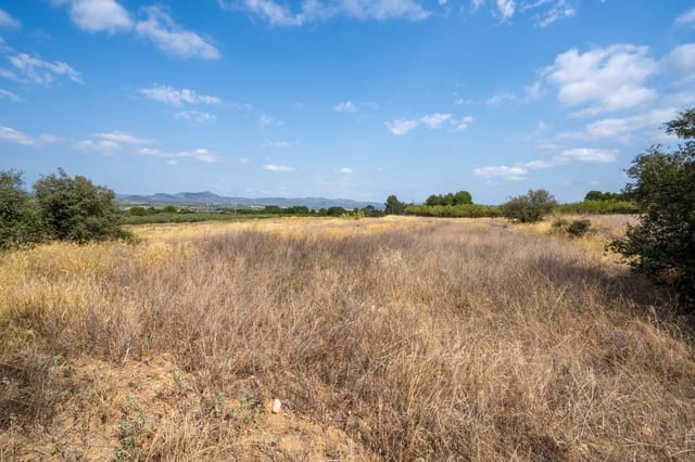 Finca/Country House for sale in Ginestar - € 41,000 (Ref: 8471804)