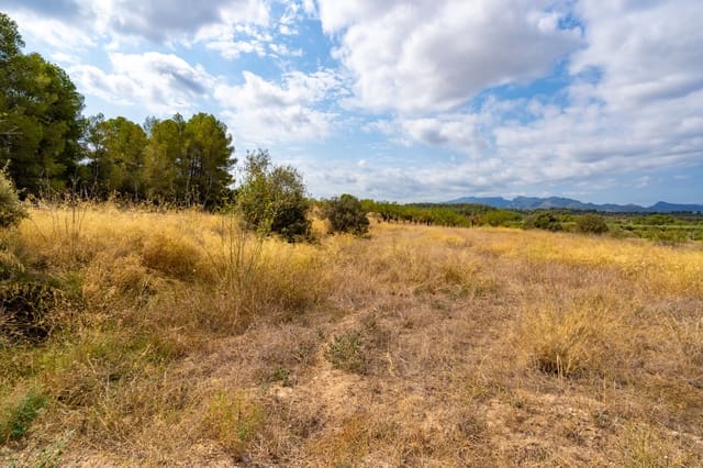 Finca/Country House for sale in Ginestar - € 41,000 (Ref: 8471804)