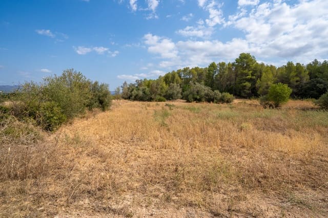 Finca/Country House for sale in Ginestar - € 41,000 (Ref: 8471804)