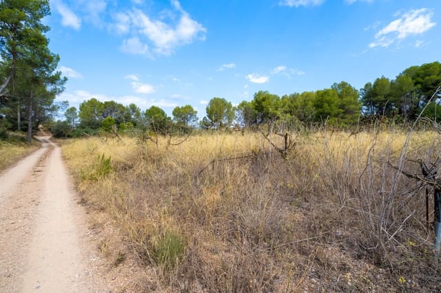 Finca/Country House for sale in Ginestar - € 41,000 (Ref: 8471804)