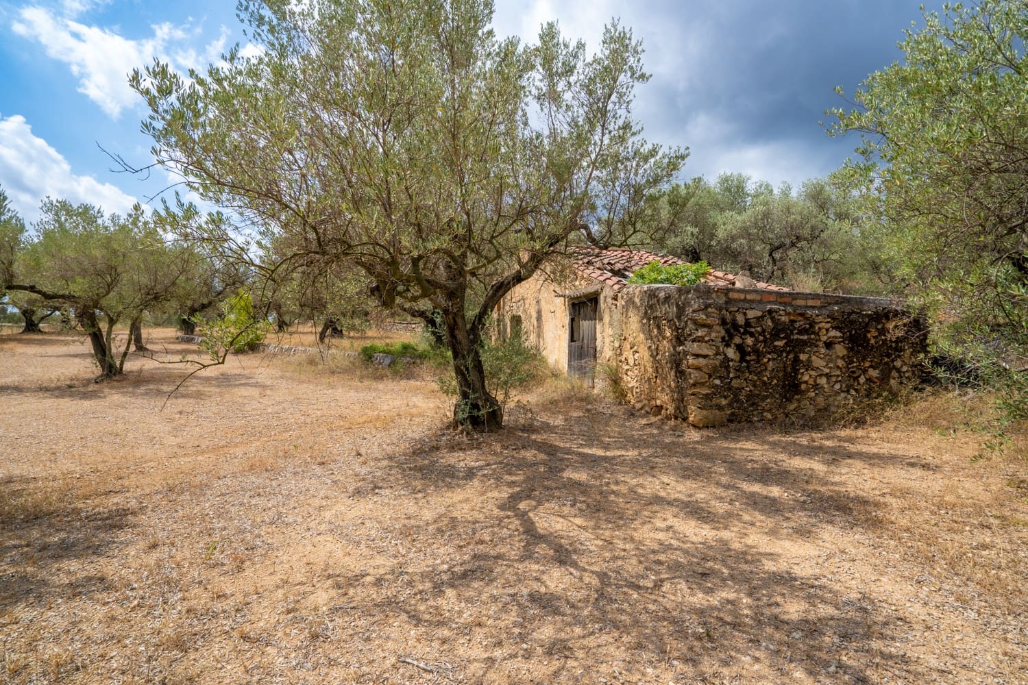 Finca/Herregård til salgs i Mas de Barberans - € 106 000 (Ref: 8474402)