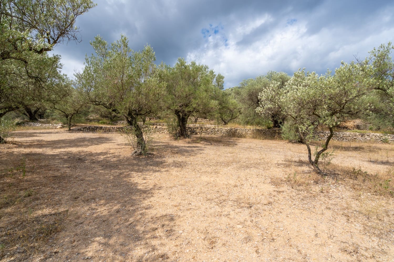 Finca/Herregård til salgs i Mas de Barberans - € 106 000 (Ref: 8474402)