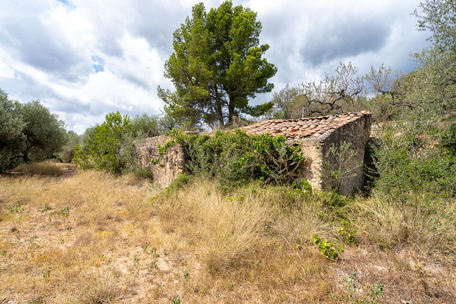 Finca/Herregård til salgs i Mas de Barberans - € 106 000 (Ref: 8474402)