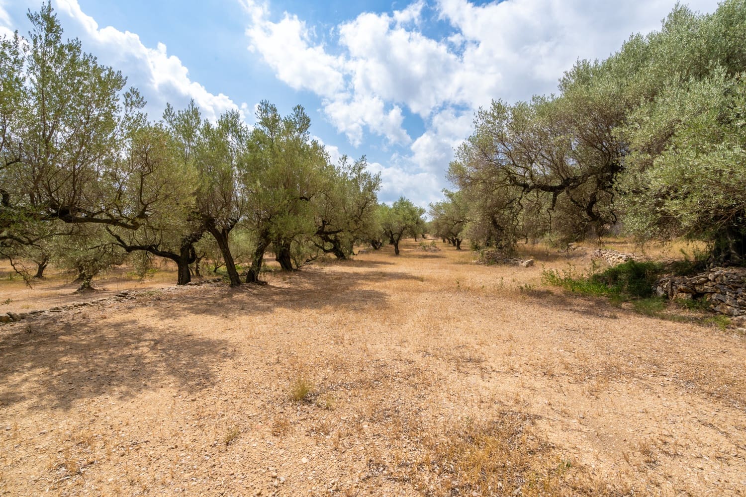 Finca/Herregård til salgs i Mas de Barberans - € 106 000 (Ref: 8474402)