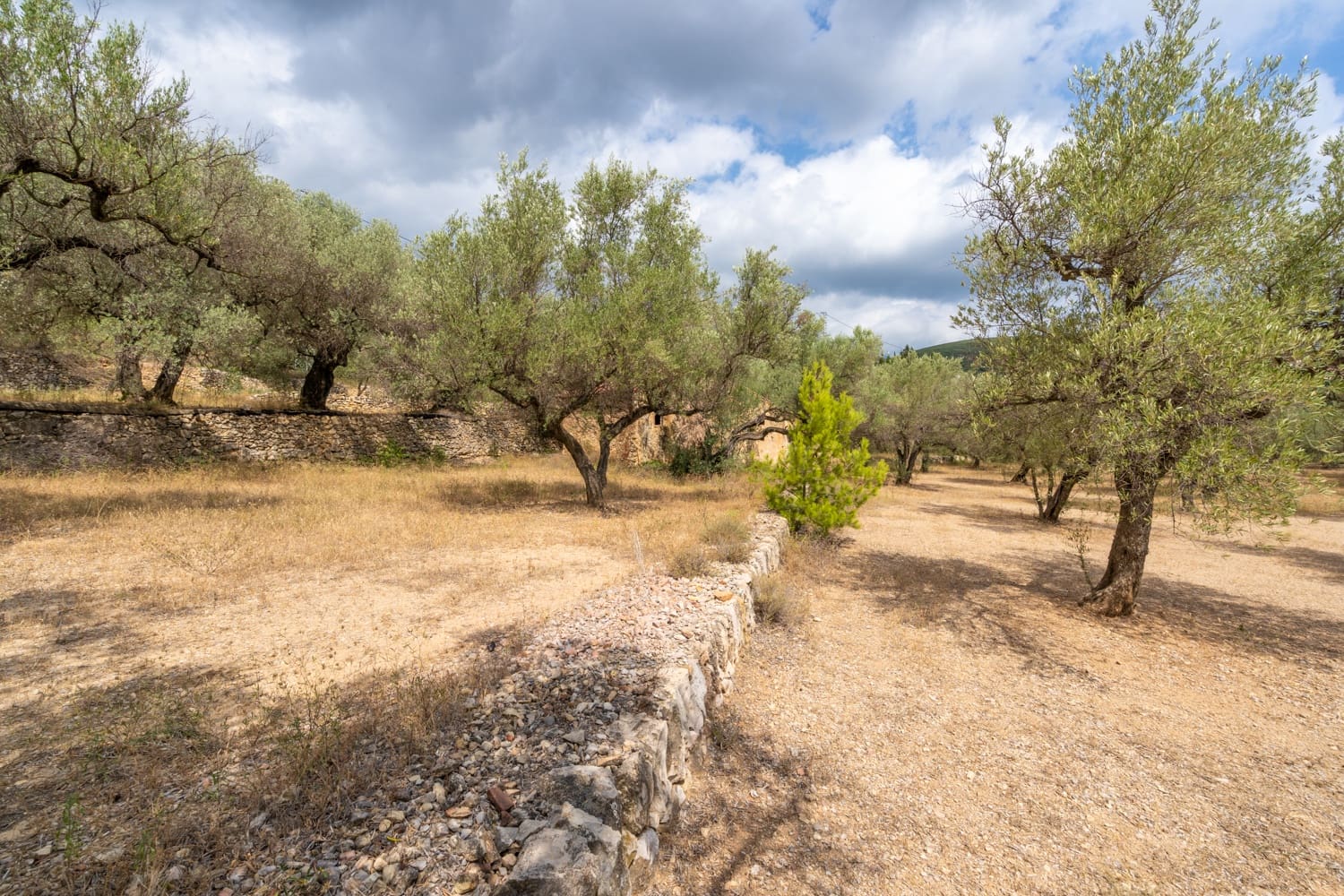 Finca/Herregård til salgs i Mas de Barberans - € 106 000 (Ref: 8474402)