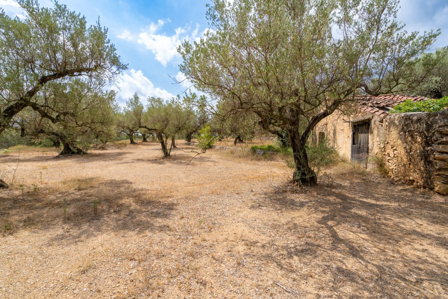 Finca/Herregård til salgs i Mas de Barberans - € 106 000 (Ref: 8474402)