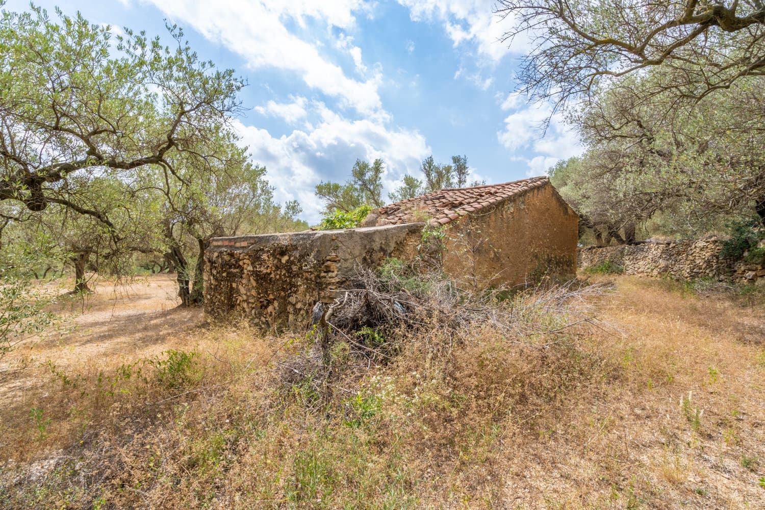 Finca/Landgut zu verkaufen in Mas de Barberans - 106.000 € (Ref: 8474402)
