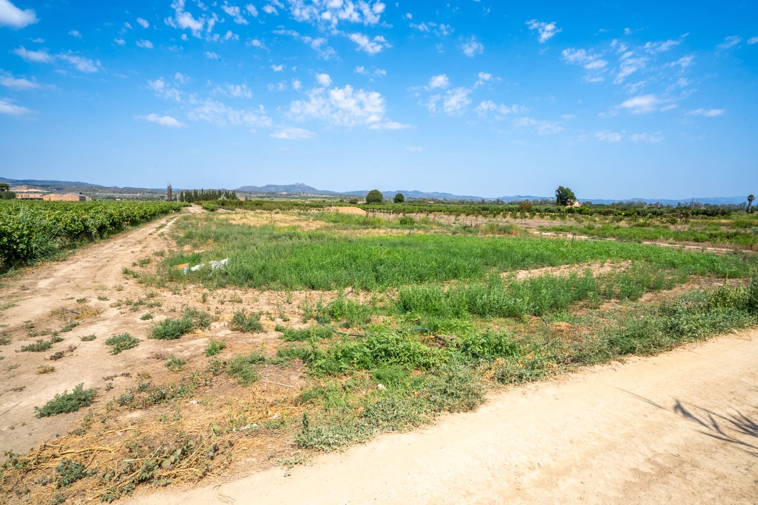 Finca/Landehus til salg i Ginestar - € 5.500 (Ref: 8474403)