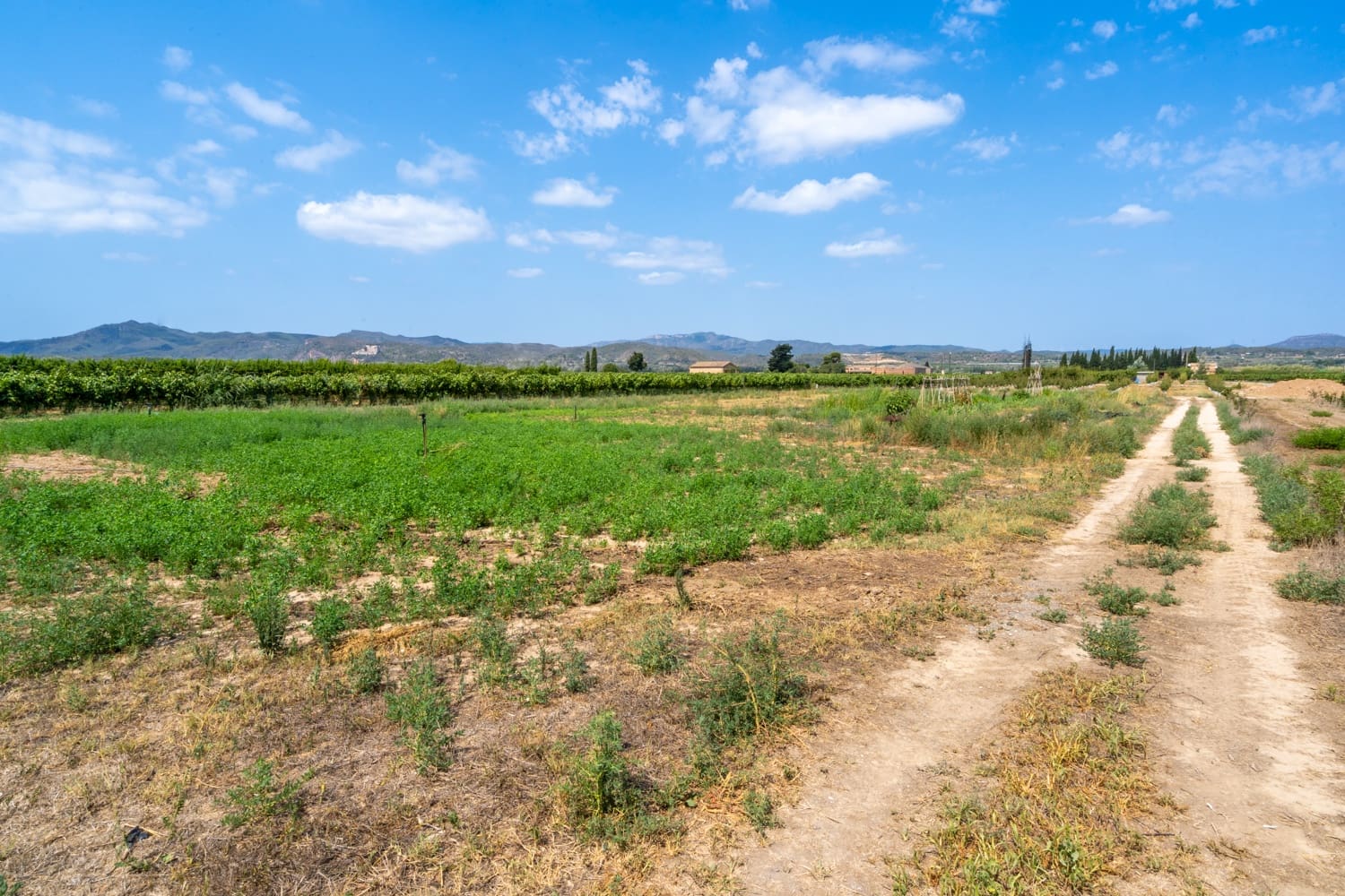 Finca/Landehus til salg i Ginestar - € 5.500 (Ref: 8474403)