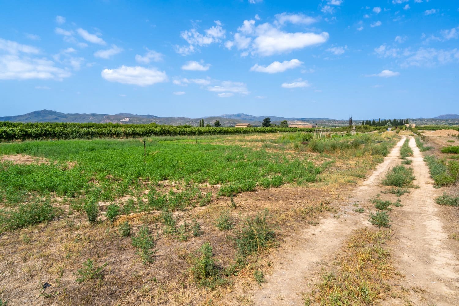 Finca/Country House for sale in Ginestar - € 5,500 (Ref: 8474403)