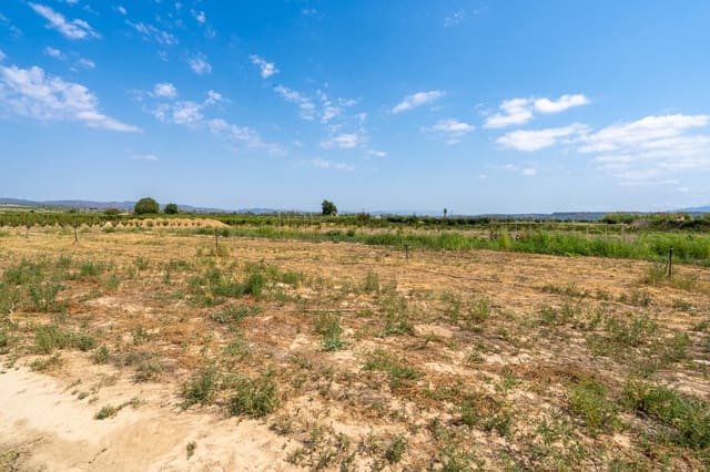 Finca/Country House for sale in Ginestar - € 5,500 (Ref: 8474403)