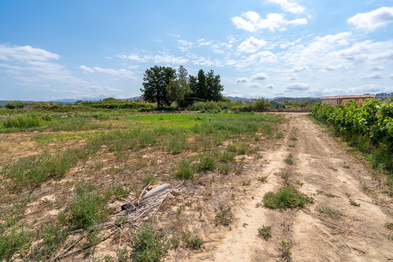 Finca/Country House for sale in Ginestar - € 5,500 (Ref: 8474403)