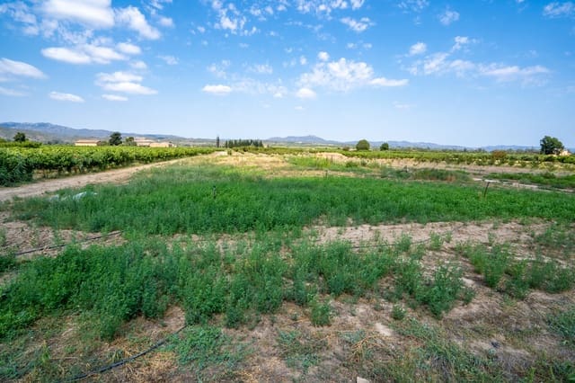 Finca/Country House for sale in Ginestar - € 5,500 (Ref: 8474403)