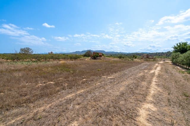 Finca/Country House for sale in Ginestar - € 16,500 (Ref: 8474404)