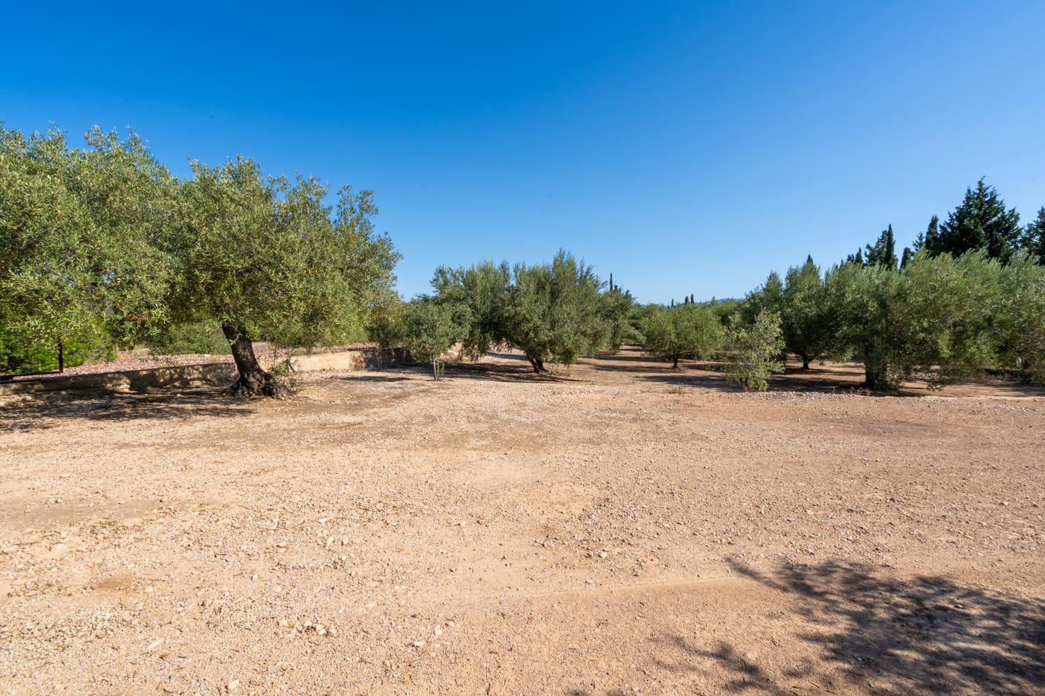 Finca/Landhuis te koop in Santa Barbara - € 110.000 (Ref: 8476275)