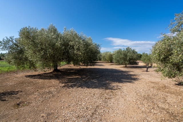 Finca/Country House for sale in Santa Bàrbara - € 110,000 (Ref: 8476275)