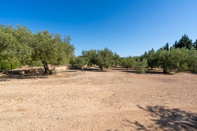 Finca/Country House for sale in Santa Bàrbara - € 110,000 (Ref: 8476275)