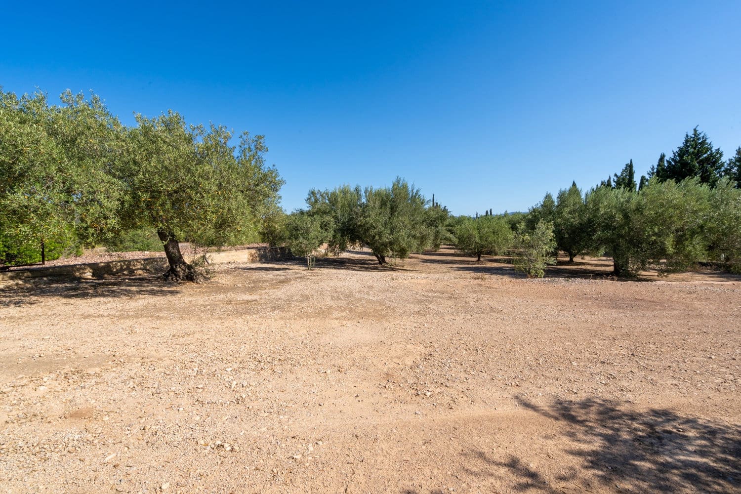Finca/Country House for sale in Santa Barbara - € 110,000 (Ref: 8476275)