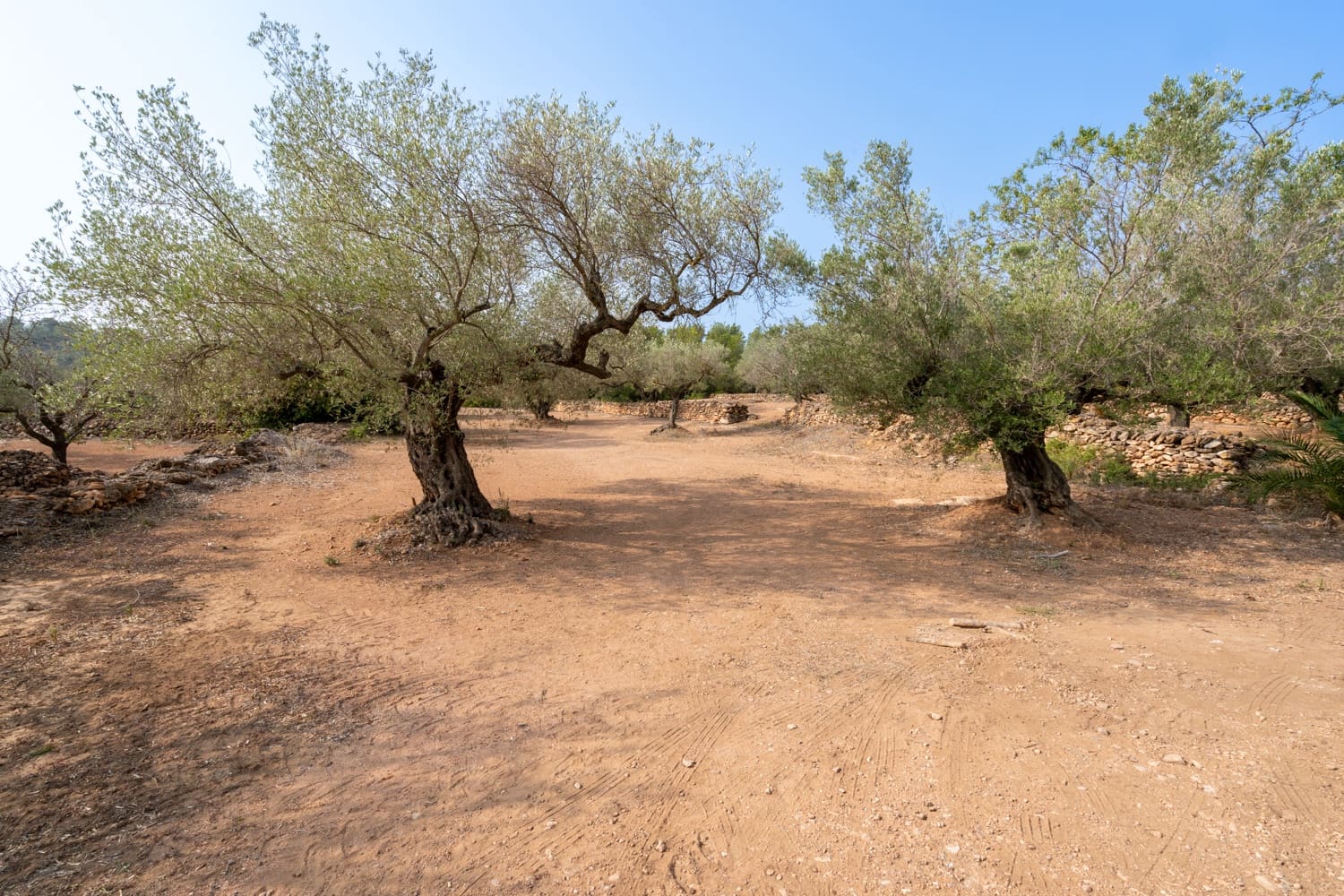 Finca/Herregård til salgs i Camarles - € 75 000 (Ref: 8478804)