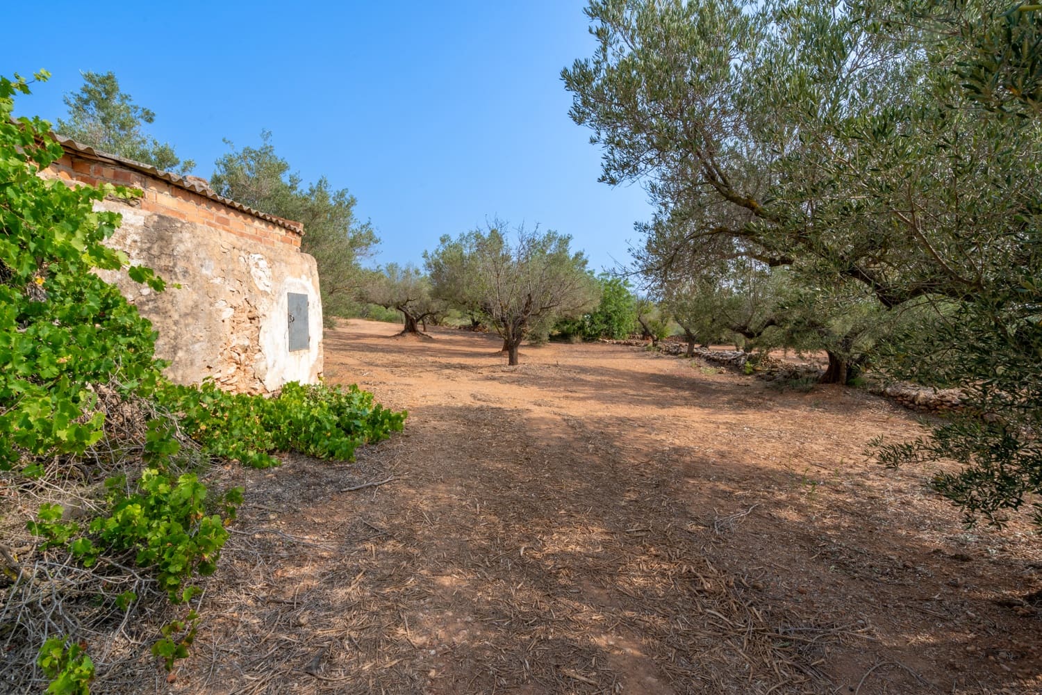 Finca/Herregård til salgs i Camarles - € 75 000 (Ref: 8478804)