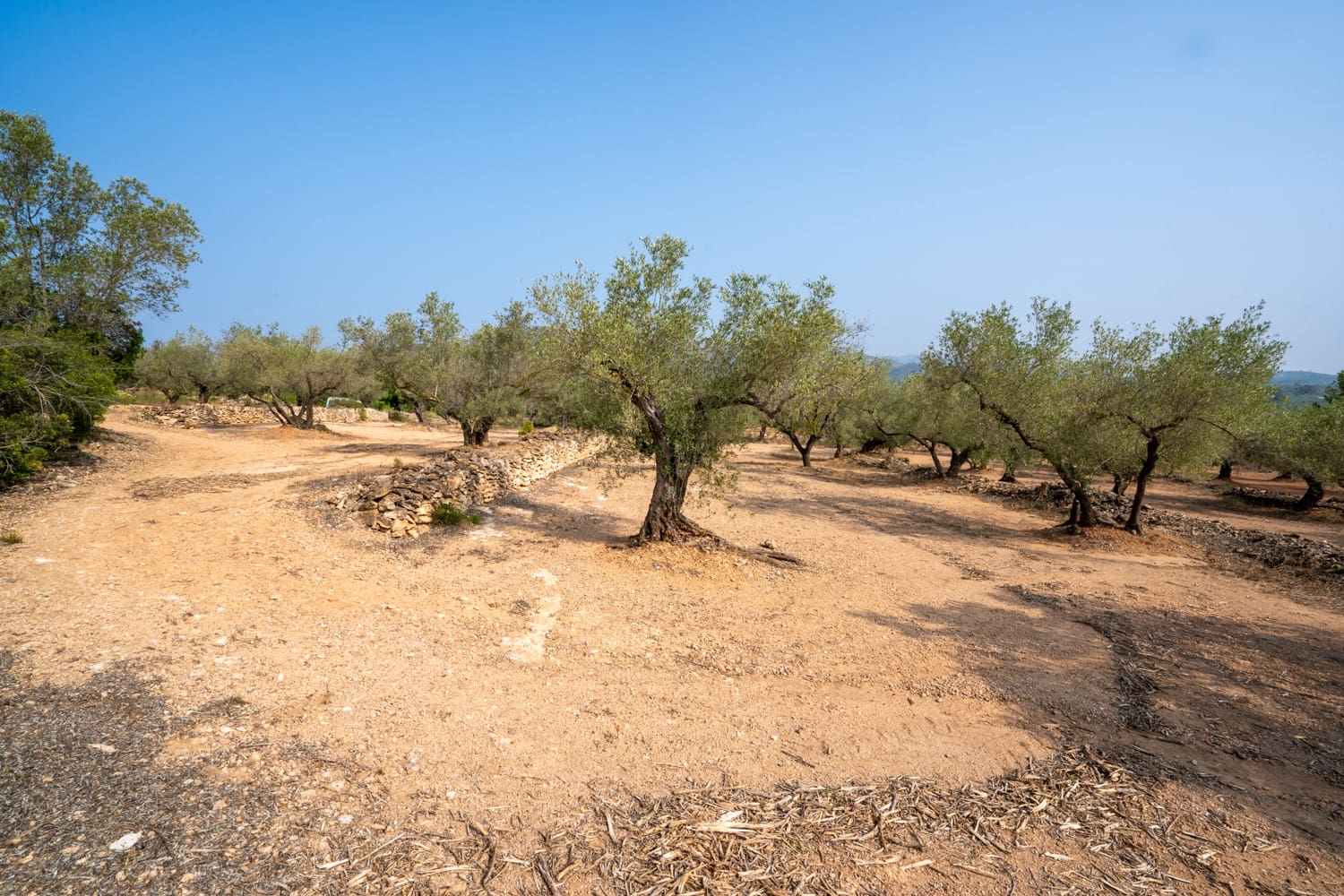 Finca/Herregård til salgs i Camarles - € 75 000 (Ref: 8478804)