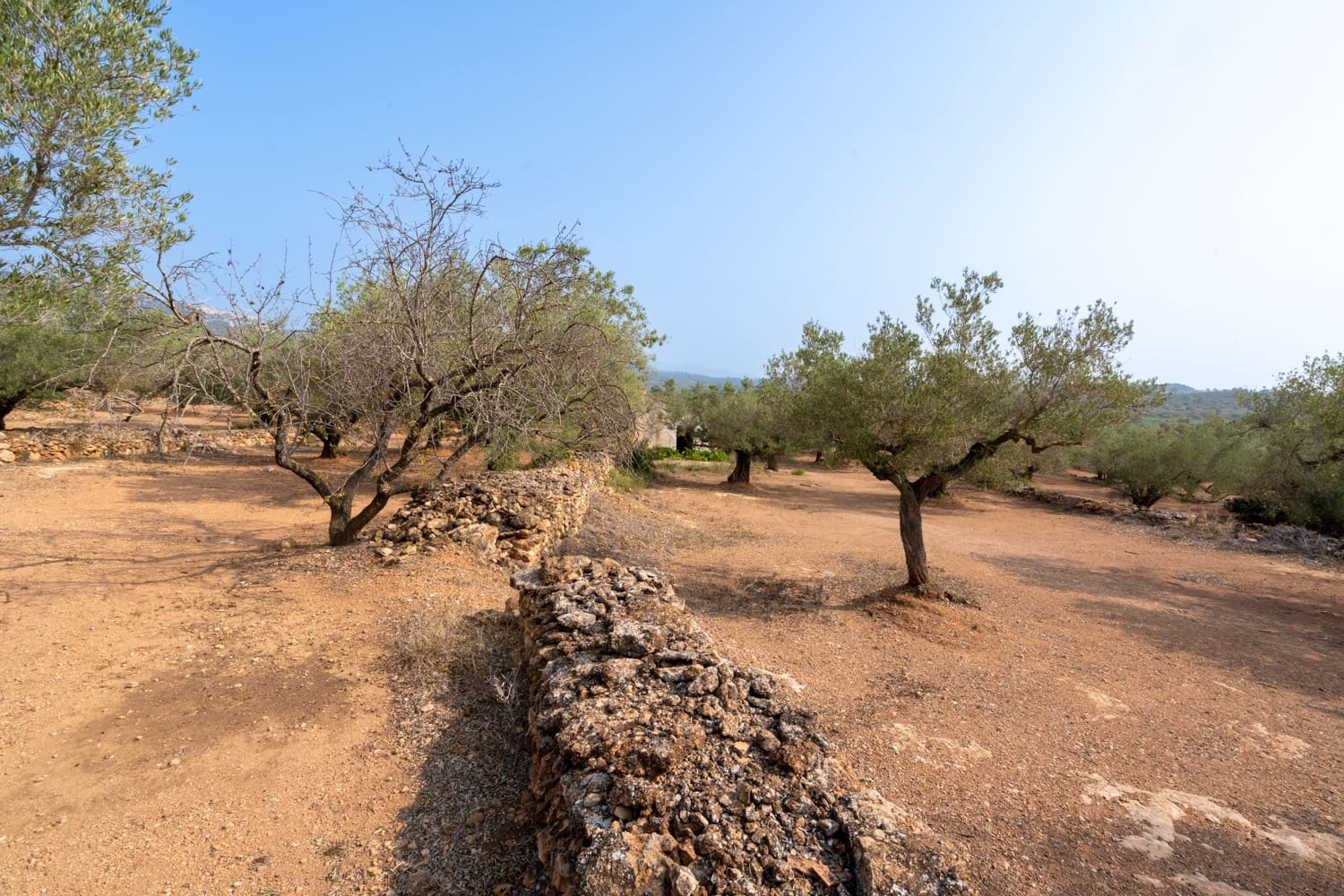 Finca/Herregård til salgs i Camarles - € 75 000 (Ref: 8478804)