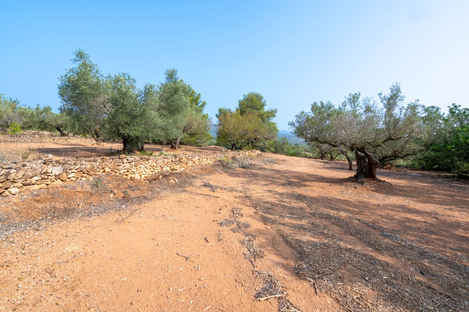 Finca/Herregård til salgs i Camarles - € 75 000 (Ref: 8478804)