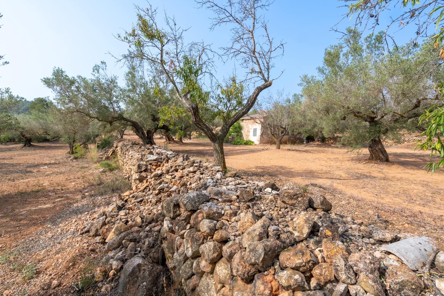 Finca/Herregård til salgs i Camarles - € 75 000 (Ref: 8478804)