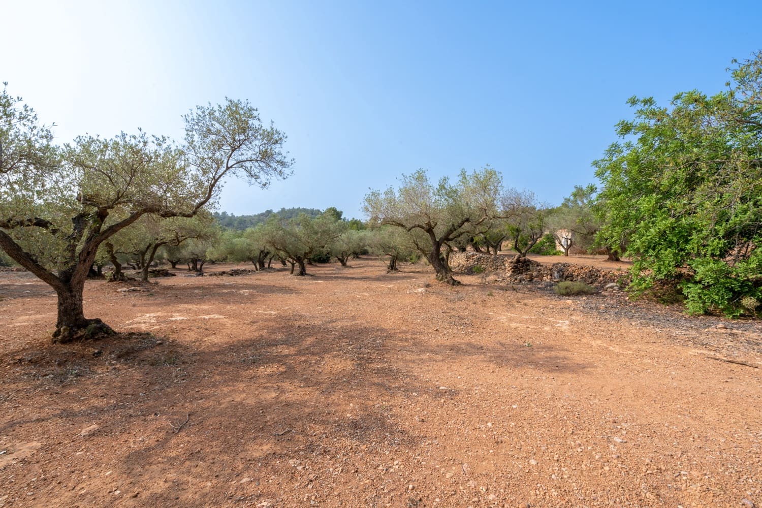 Finca/Herregård til salgs i Camarles - € 75 000 (Ref: 8478804)