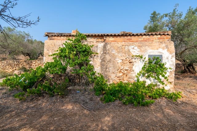 Finca/Hus på landet till salu i Camarles - 75 000 € (Ref: 8478804)