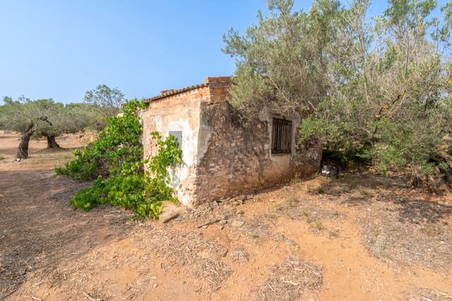 Finca/Hus på landet till salu i Camarles - 75 000 € (Ref: 8478804)