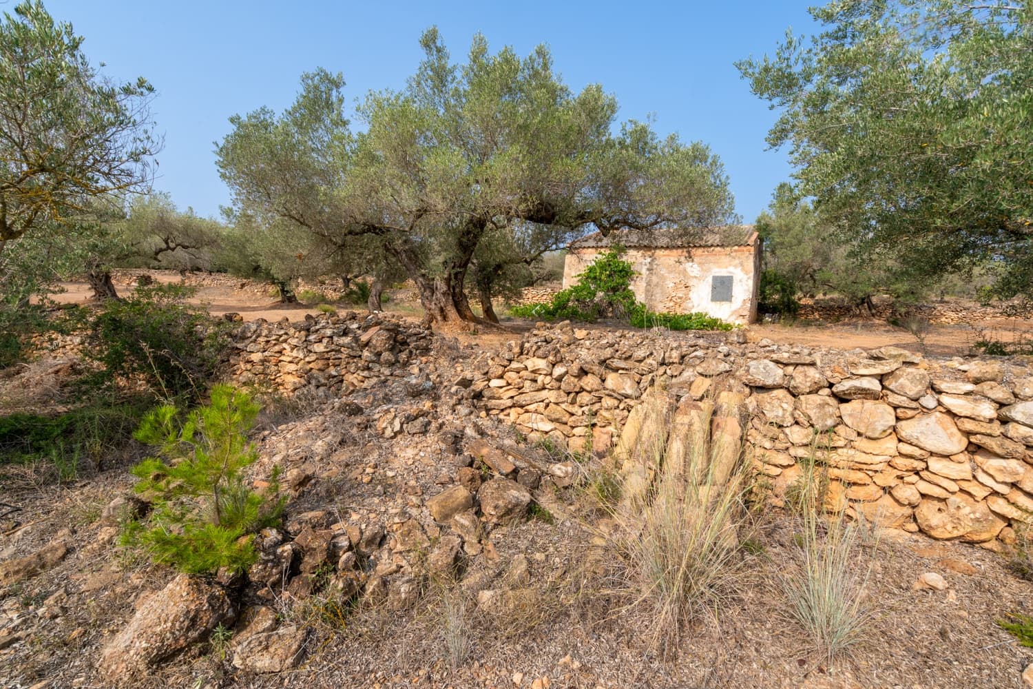 Finca/Herregård til salgs i Camarles - € 75 000 (Ref: 8478804)