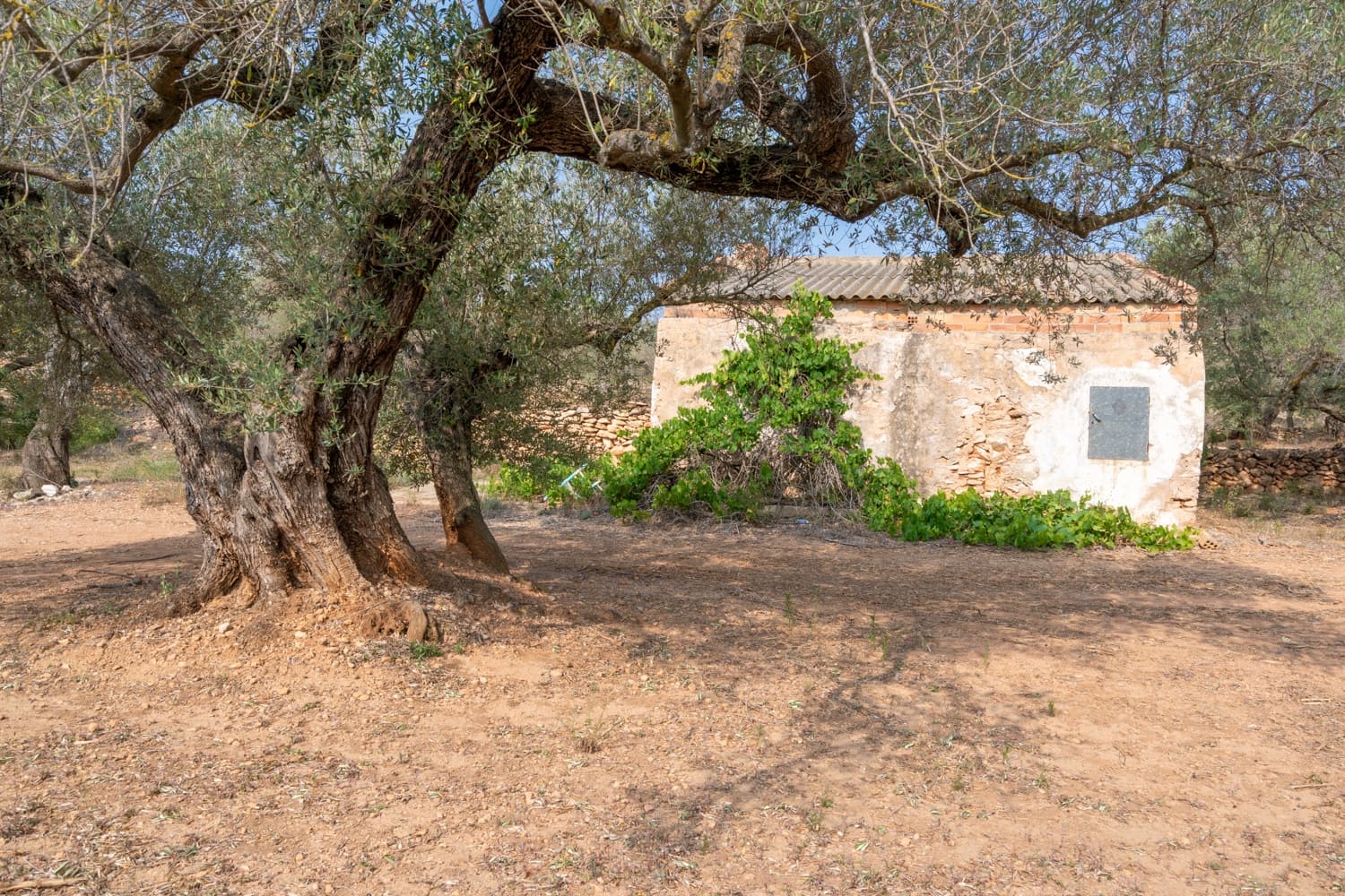 Finca/Herregård til salgs i Camarles - € 75 000 (Ref: 8478804)