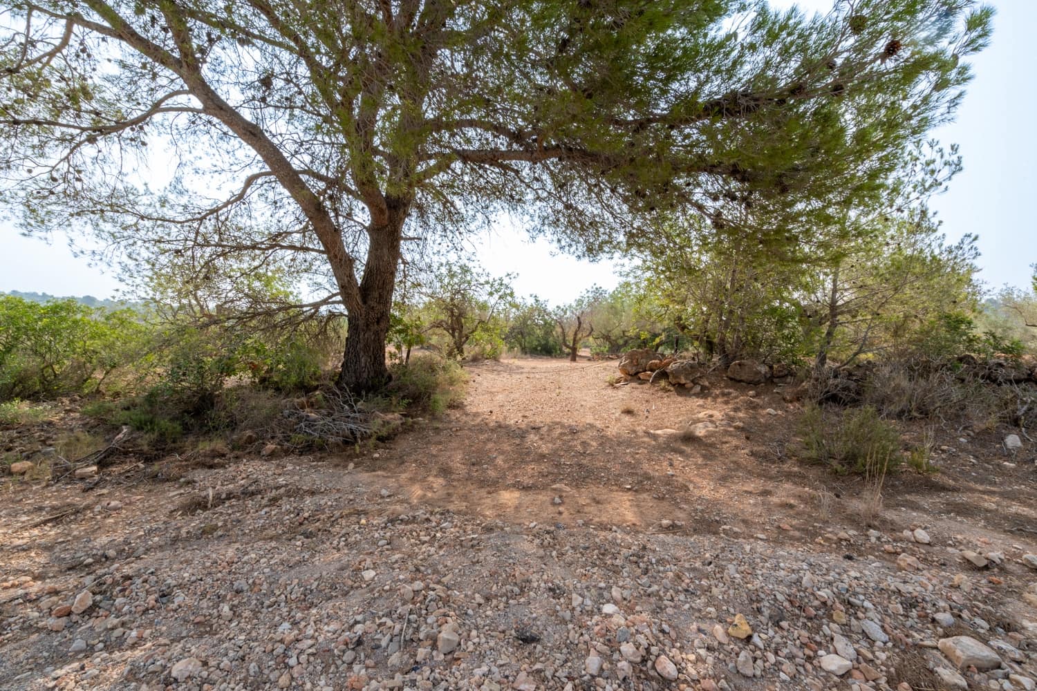 Finca/Herregård til salgs i Camarles - € 75 000 (Ref: 8478804)