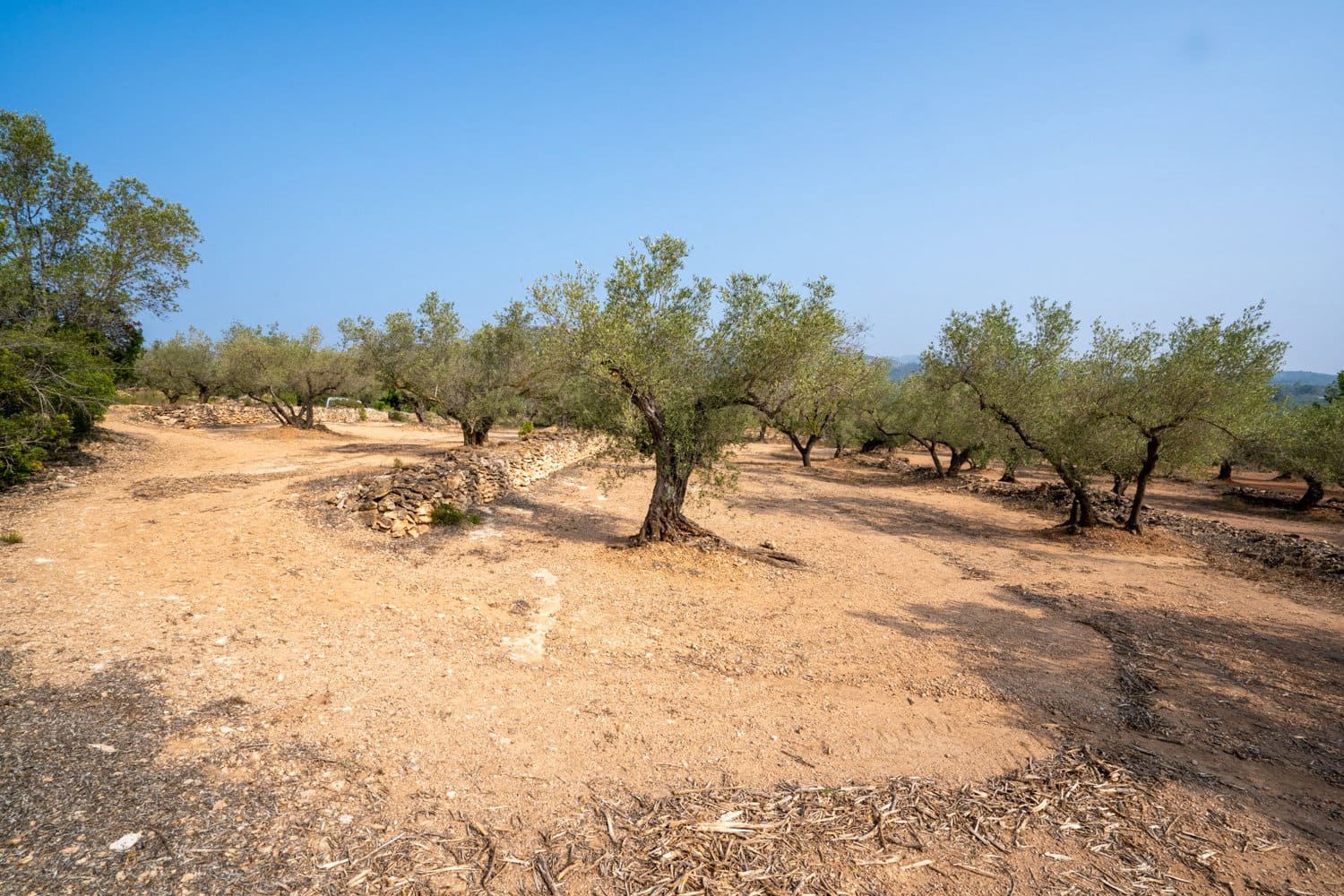 Finca/Landhuis te koop in Camarles - € 75.000 (Ref: 8478804)