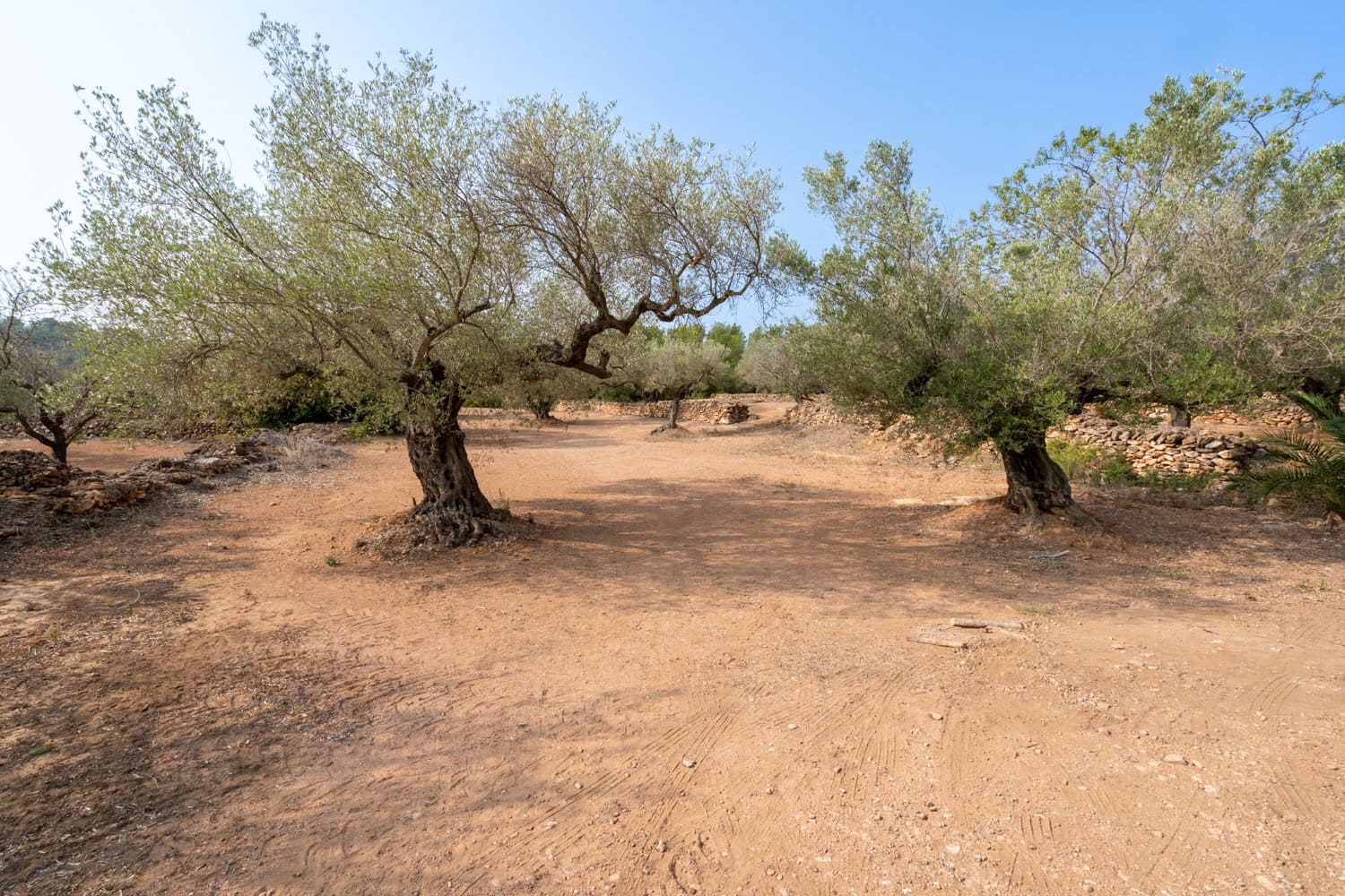 Finca/Landhuis te koop in Camarles - € 75.000 (Ref: 8478804)