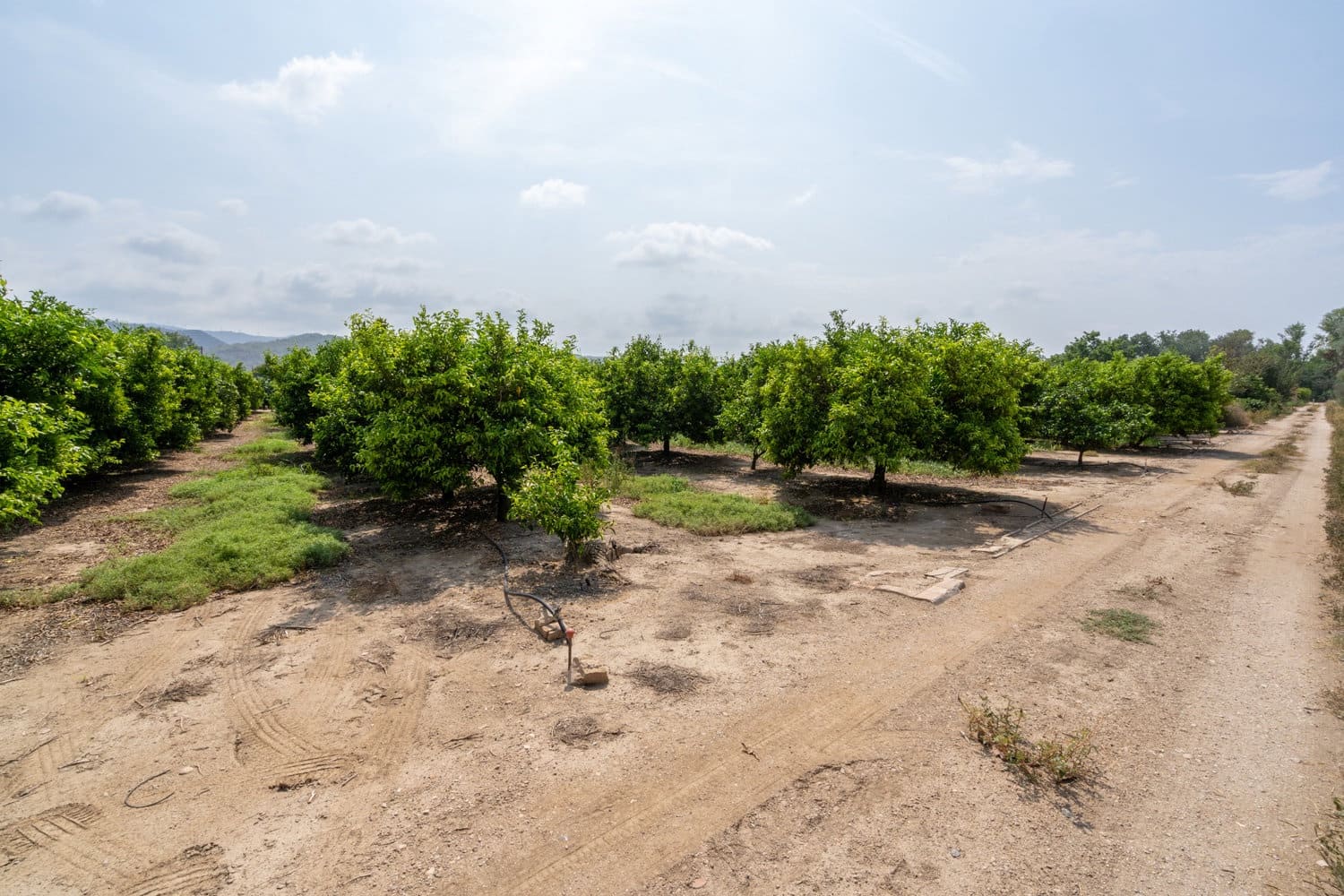 Finca/Herregård til salgs i Bitem - € 46 000 (Ref: 8484232)