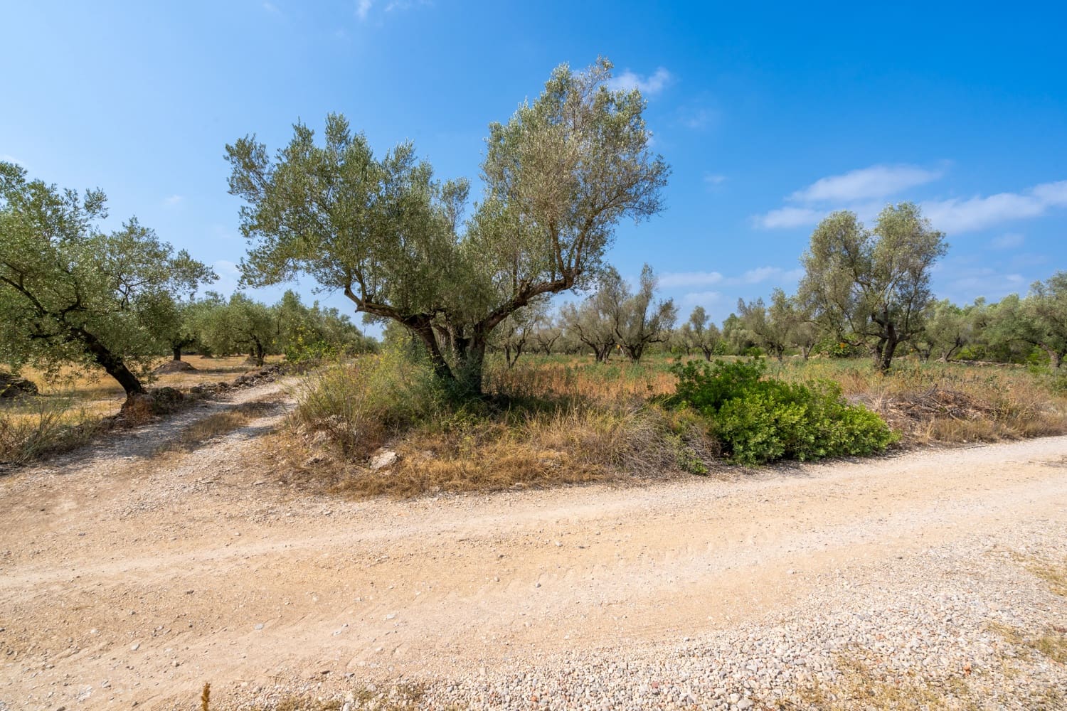 Finca/Herregård til salgs i Ulldecona - € 5 000 (Ref: 8484940)