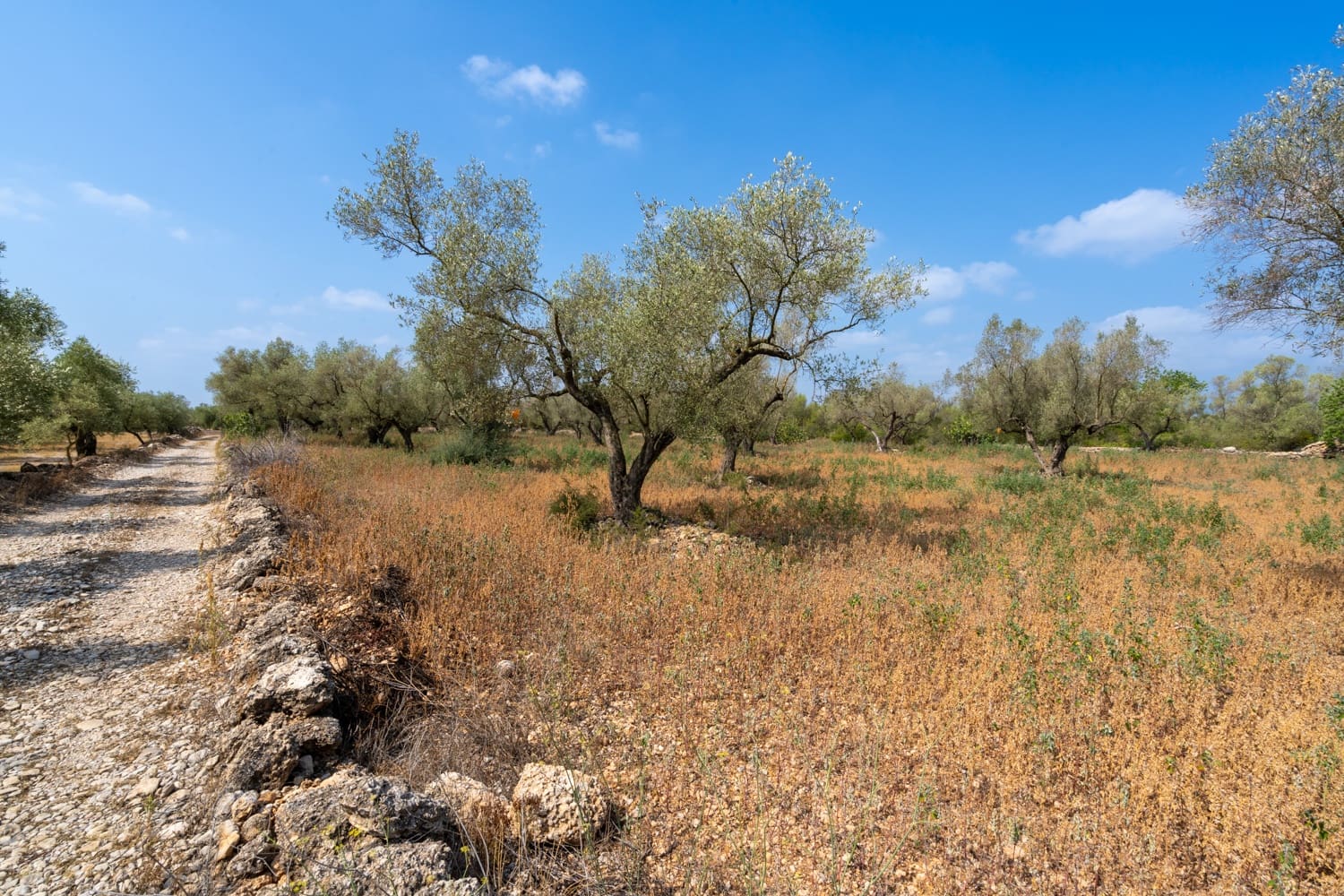 Finca/Herregård til salgs i Ulldecona - € 5 000 (Ref: 8484940)