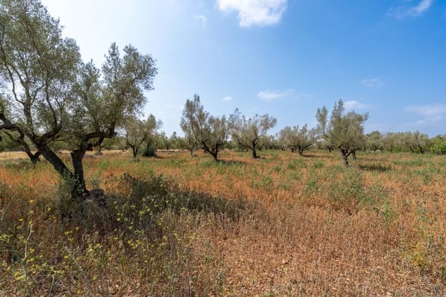 Finca/Country House for sale in Ulldecona - € 5,000 (Ref: 8484940)