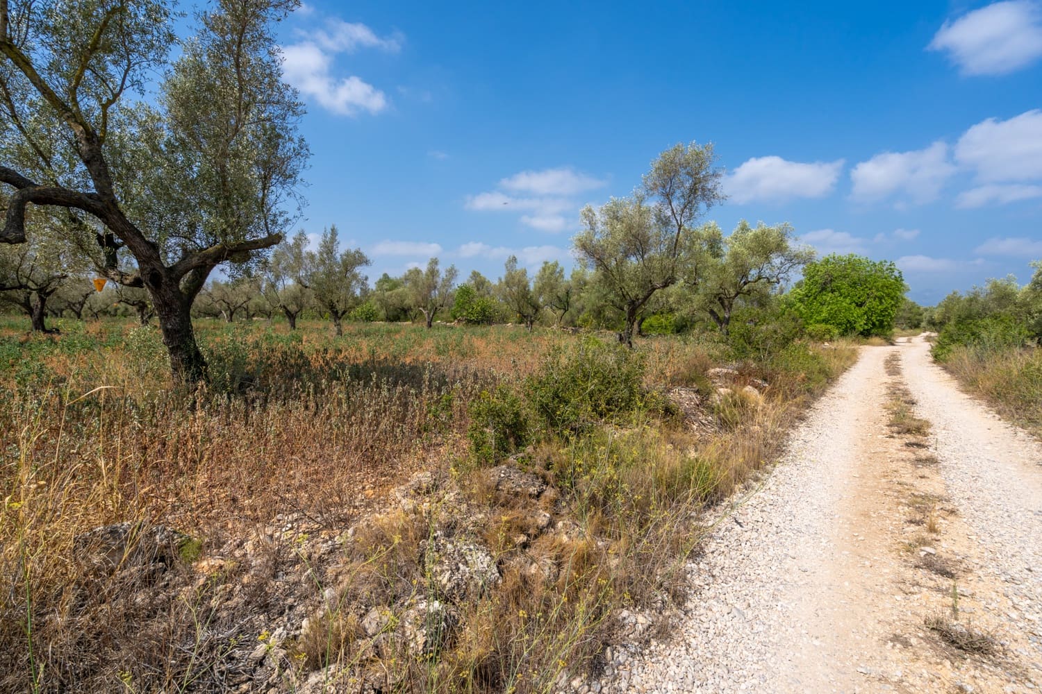 Finca/Herregård til salgs i Ulldecona - € 5 000 (Ref: 8484940)