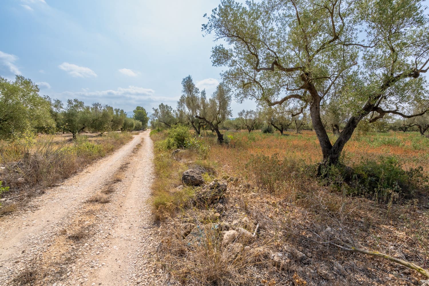 Finca/Herregård til salgs i Ulldecona - € 5 000 (Ref: 8484940)
