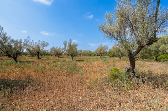 Finca/Country House for sale in Ulldecona - € 5,000 (Ref: 8484940)