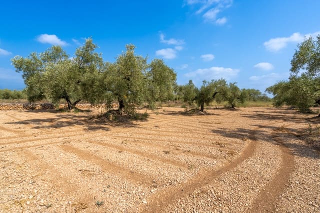 Finca/Herregård til salgs i Ulldecona - € 7 000 (Ref: 8484941)