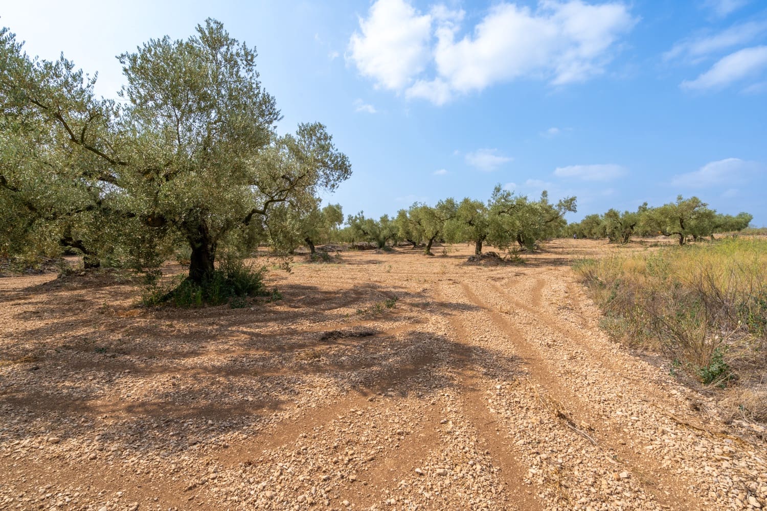 Finca/Herregård til salgs i Ulldecona - € 7 000 (Ref: 8484941)