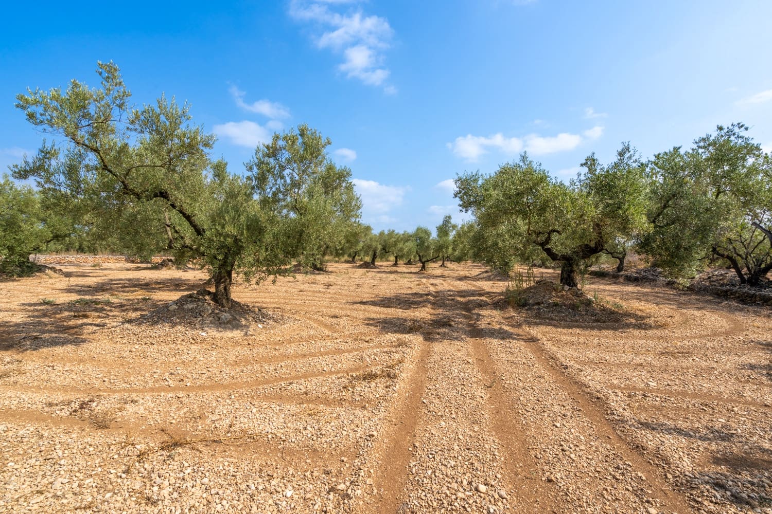 Finca/Herregård til salgs i Ulldecona - € 7 000 (Ref: 8484941)