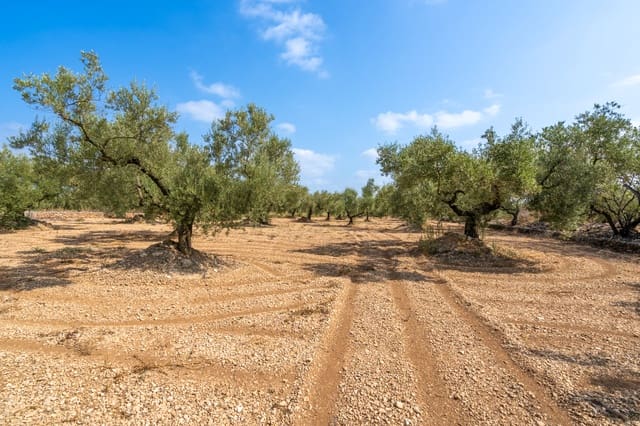 Finca/Herregård til salgs i Ulldecona - € 7 000 (Ref: 8484941)