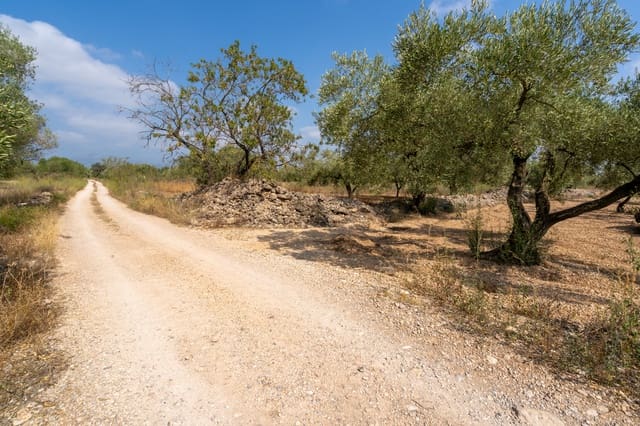 Finca/Herregård til salgs i Ulldecona - € 7 000 (Ref: 8484941)